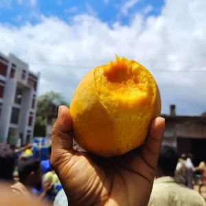 Khirsapat-খিরসাপাত