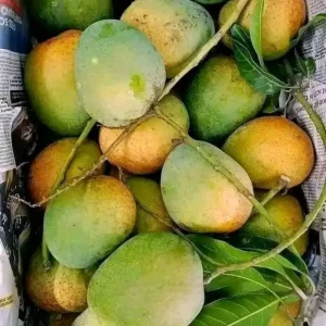 Himsagor-হিমসাগর