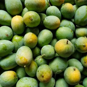 Langra-ল্যাংড়া